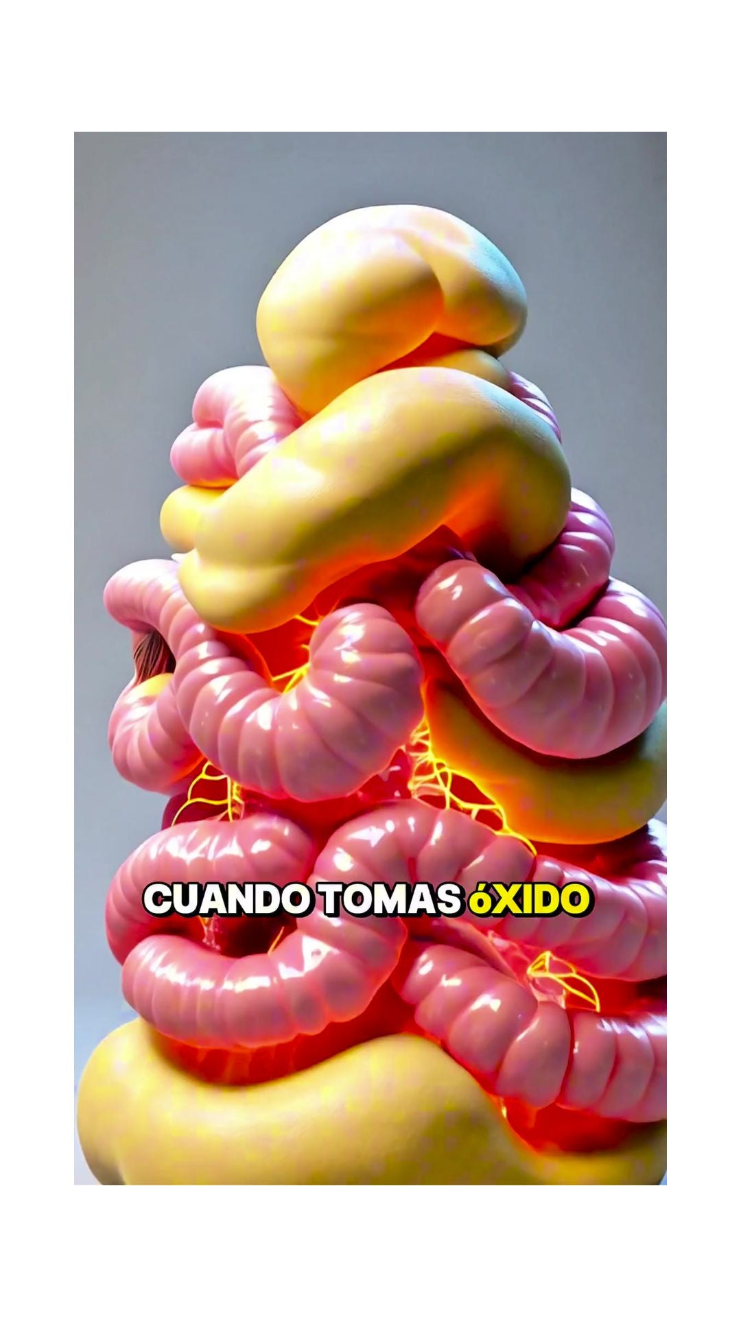OXIDO NÍTRICO™ 1000MG 60 CAPS