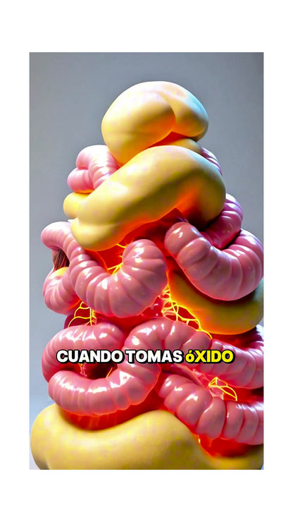 OXIDO NÍTRICO™  1000MG 60 CAPS